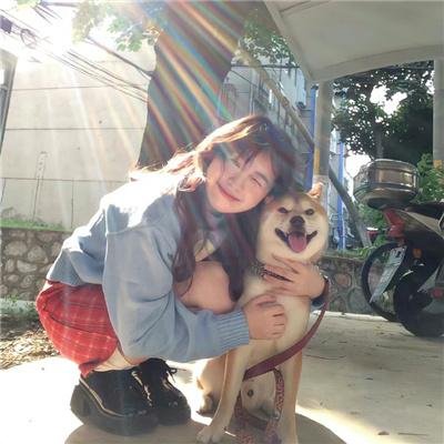 梅迪亚度假婚礼团